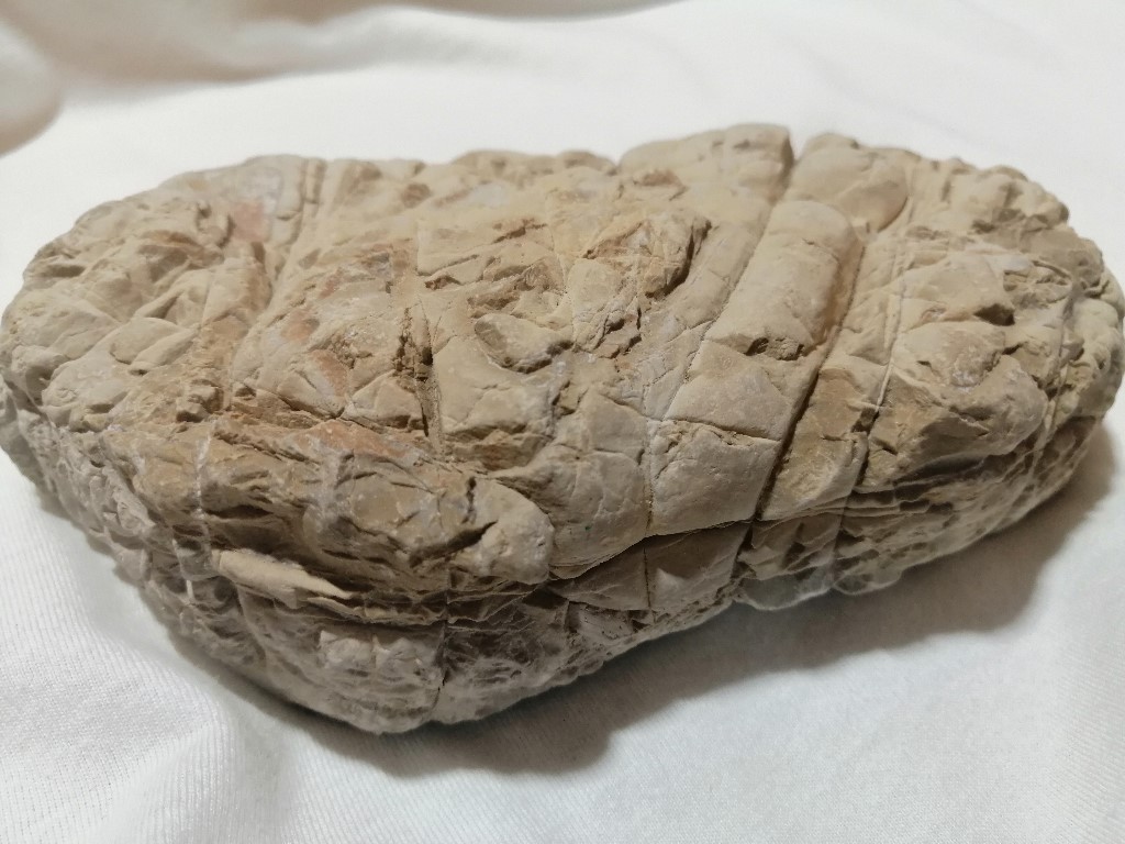 ResizerImage1024X768