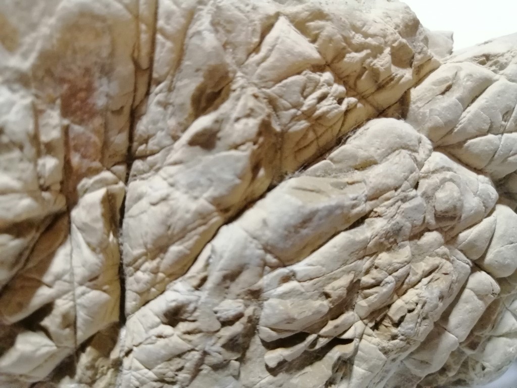 ResizerImage1024X76811