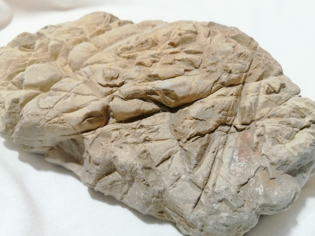 ResizerImage1024X7683