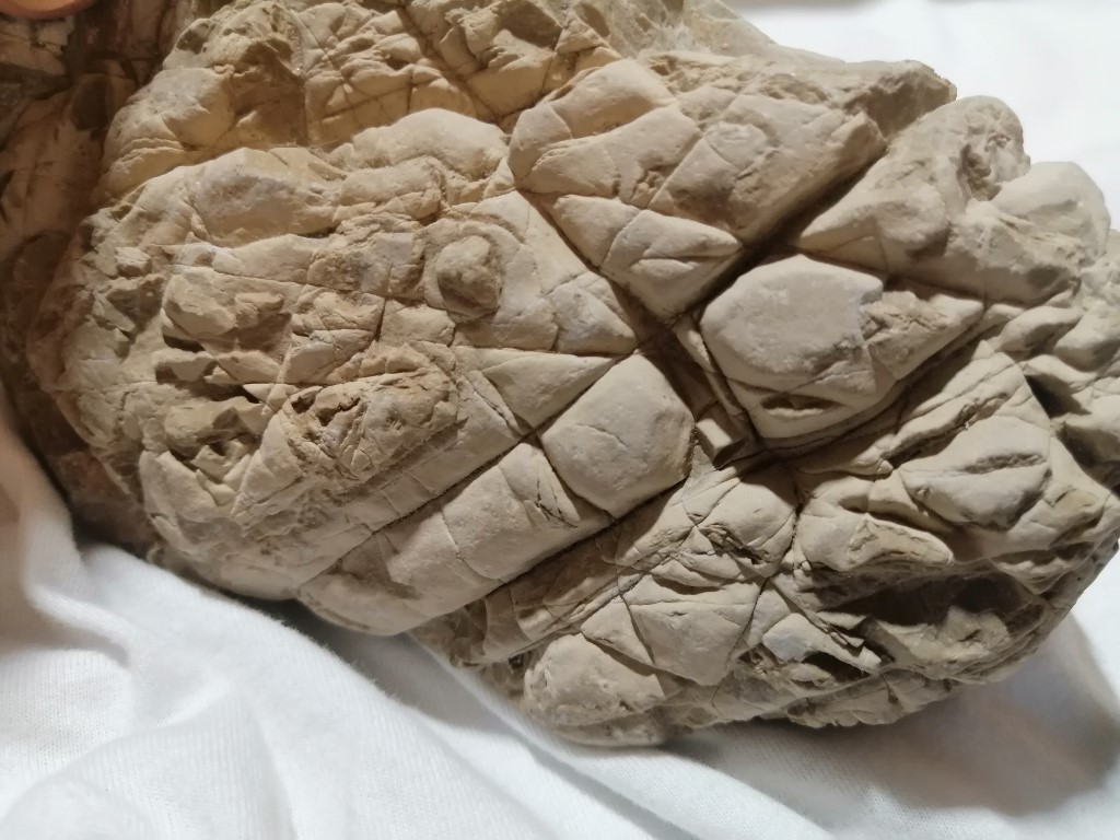 ResizerImage1024X76833