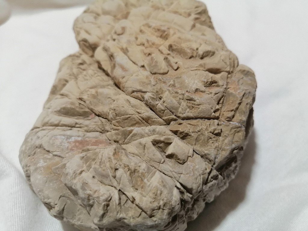 ResizerImage1024X7684