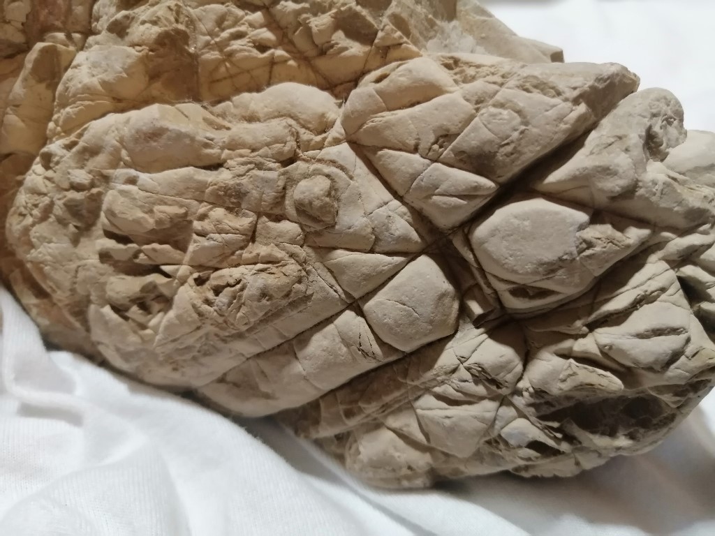 ResizerImage1024X76844