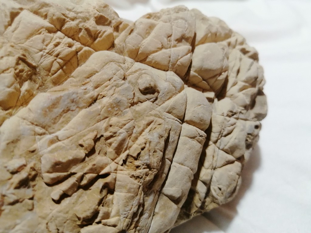 ResizerImage1024X7689